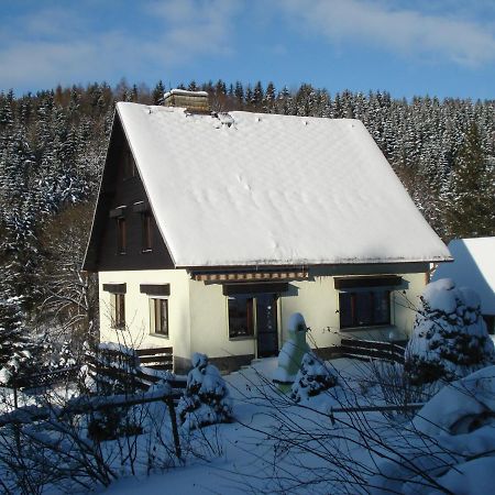 Erzgebirgsdomizil Am Schwartenberg นอยเฮาเซน ภายนอก รูปภาพ