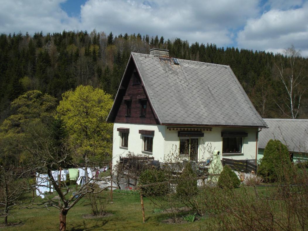 Erzgebirgsdomizil Am Schwartenberg นอยเฮาเซน ภายนอก รูปภาพ