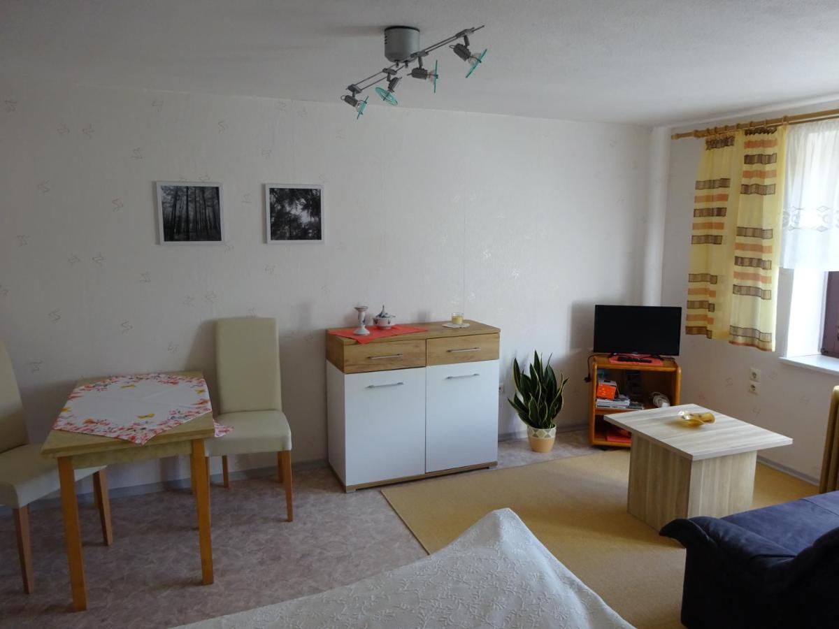 Erzgebirgsdomizil Am Schwartenberg Apartment นอยเฮาเซน ภายนอก รูปภาพ